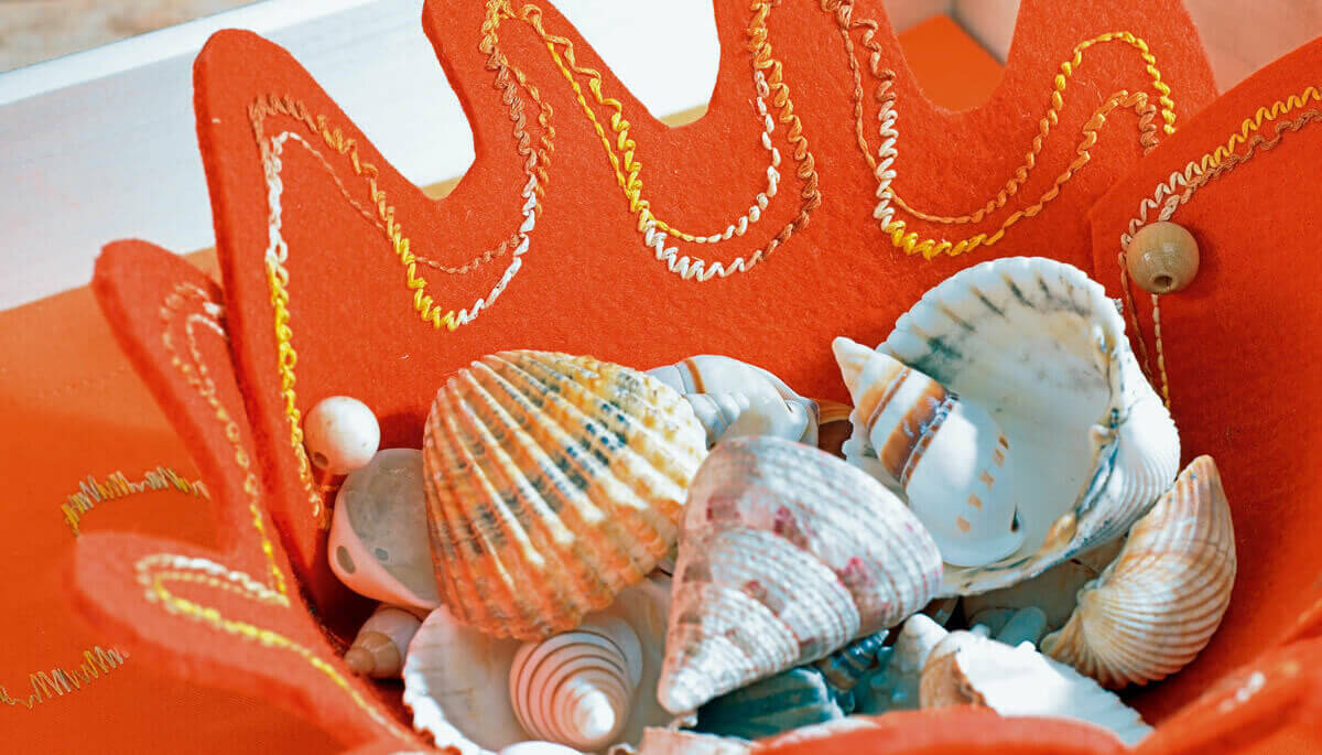 Bernette Free-Motion Embroidery craft